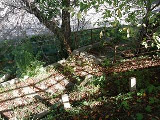 009B.JPG - 25,374BYTES