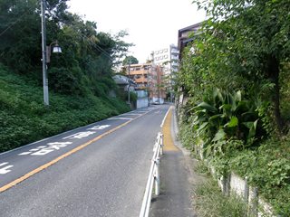 021.JPG - 25,257BYTES