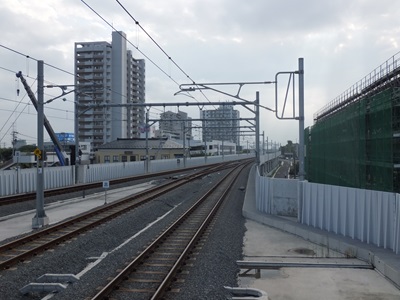 aobadori.jpg(61383 byte)