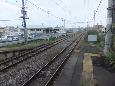 aobadori.jpg(69173 byte)