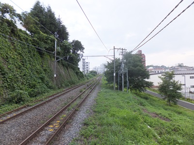 aobadori.jpg(71866 byte)