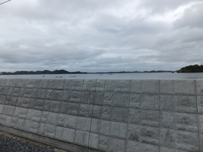 platform.jpg(47713 byte)