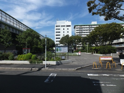 画像の説明はありません