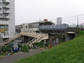 ��h���猩��