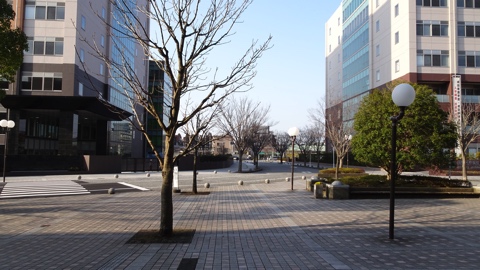 �摜�̐���