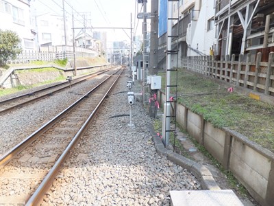 ���؂̌ܔ��c��