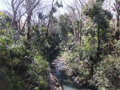 ���X�͌k�J