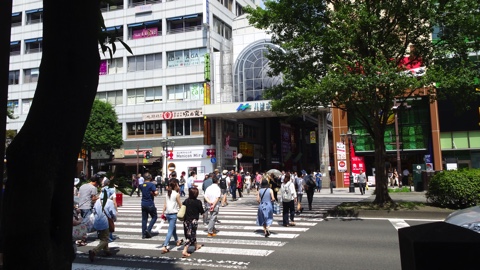 画像の説明はありません